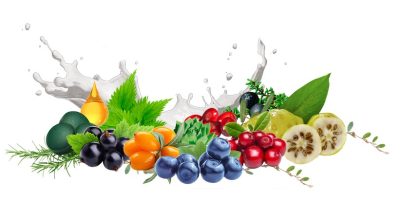 Arctic Nutrition käyttämiä marjoja ja hedelmiä sekä yrttejä.